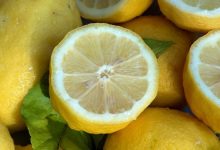 Фото - Как вырастить лимон из косточки в домашних условиях и получать плоды
