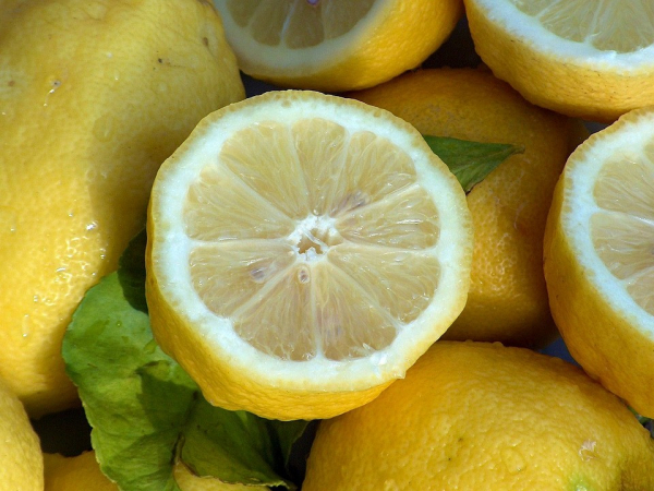 Фото - Как вырастить лимон из косточки в домашних условиях и получать плоды